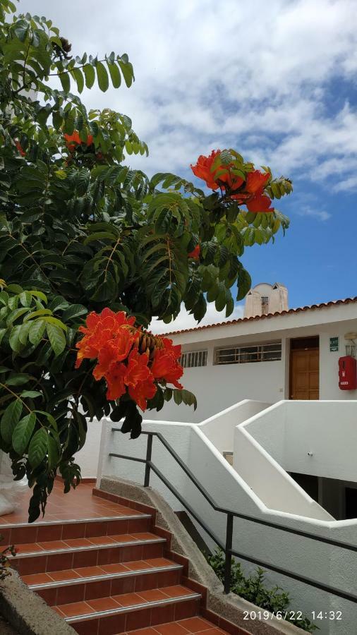 Club El Paradero Playa de las Americas  Exteriör bild